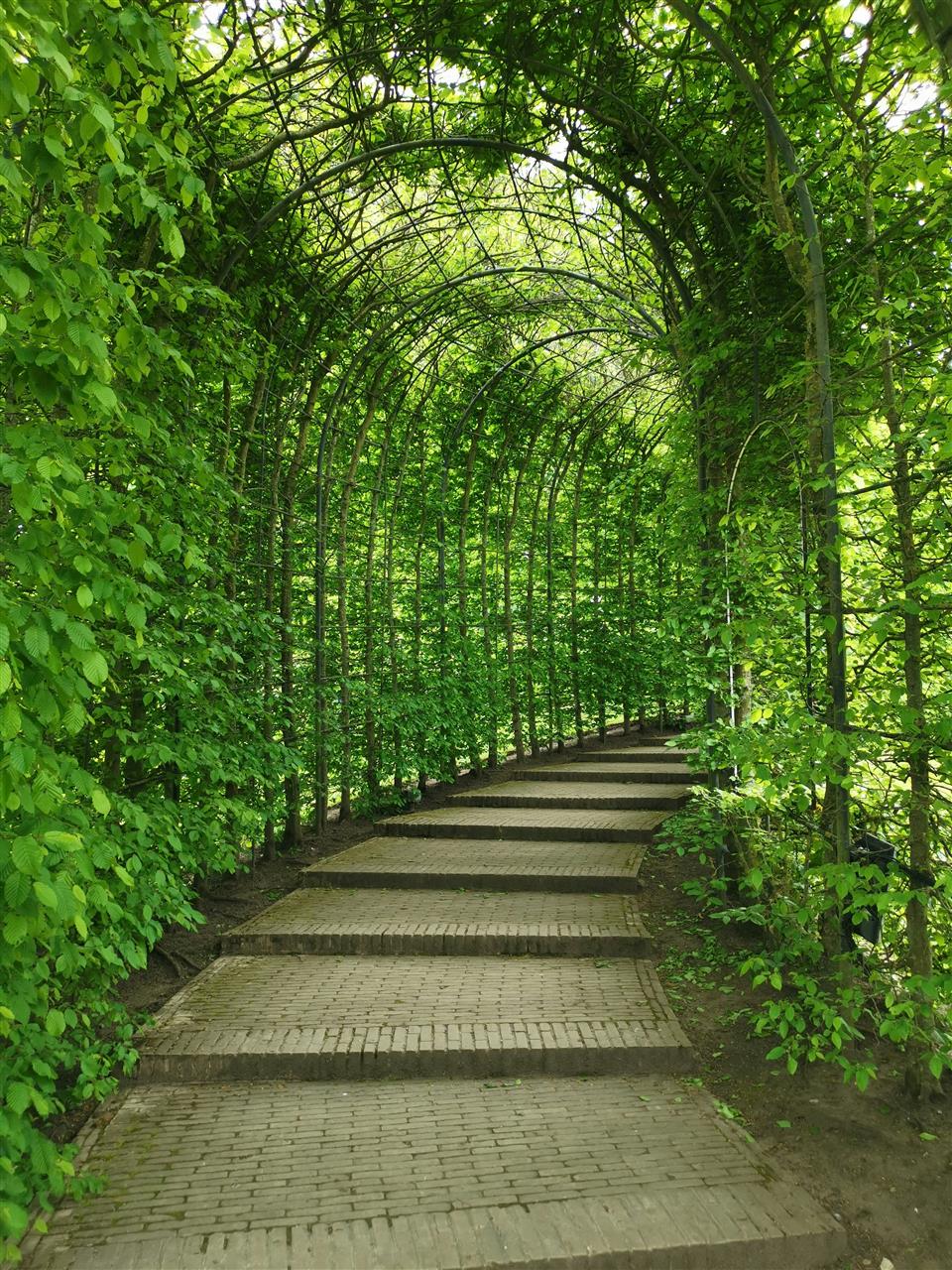 30x60 fliser: En alsidig løsning til dit næste hus- eller haveprojekt